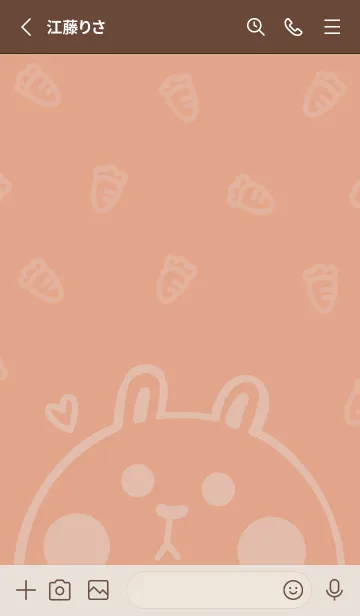 [LINE着せ替え] Bunny and Carrot J-Orange (Br2)の画像2