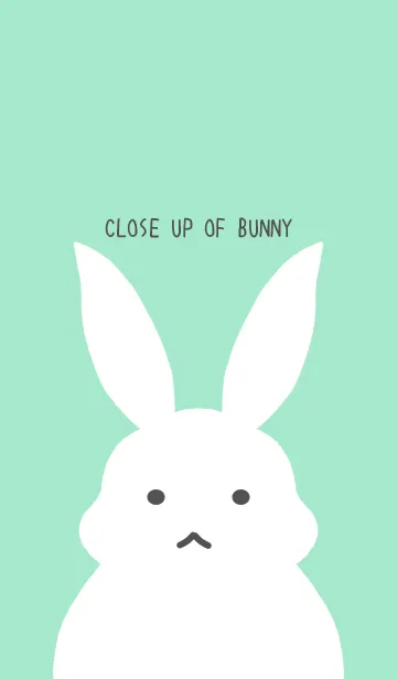 [LINE着せ替え] シンプルバニー/ミントグリーン/グリーンの画像1