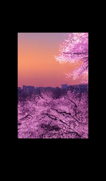 桜#AL_24。の着せ替えメイン画像