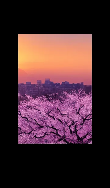 [LINE着せ替え] 桜#AL_21。の画像1