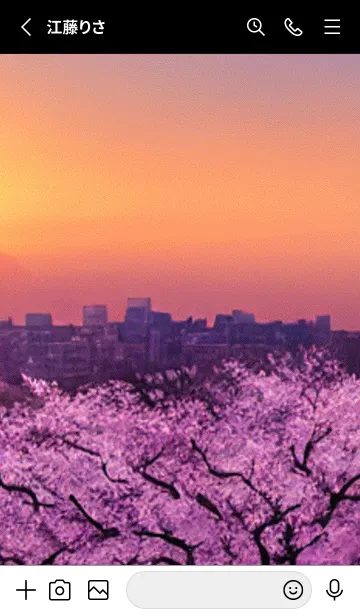 [LINE着せ替え] 桜#AL_21。の画像2