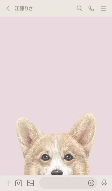 [LINE着せ替え] ICON DOG - コーギー 01 - PASTEL PK/02の画像2