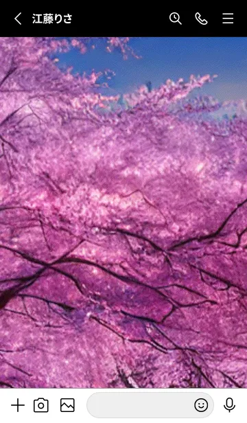 [LINE着せ替え] Cherry Blossoms#AM_23。の画像2