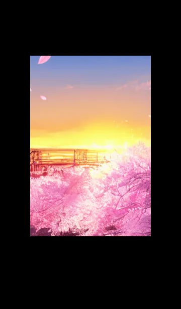 Cherry Blossoms#AM_16。の着せ替えメイン画像