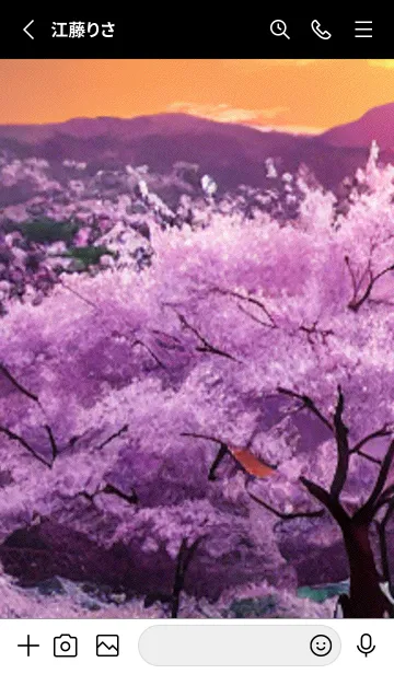 [LINE着せ替え] Cherry Blossoms#AM_6。の画像2