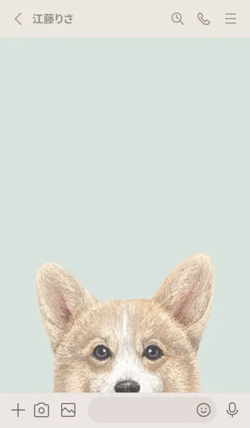 [LINE着せ替え] ICON DOG - コーギー 01 - PASTEL GR/02の画像2