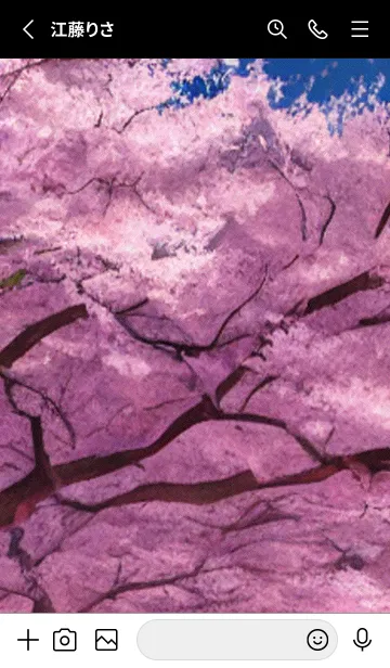 [LINE着せ替え] Cherry Blossoms#AN_1。の画像2