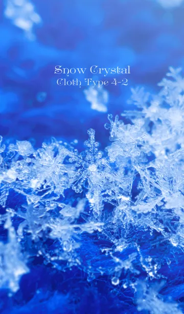 [LINE着せ替え] Snow Crystal Cloth Type 4-2の画像1