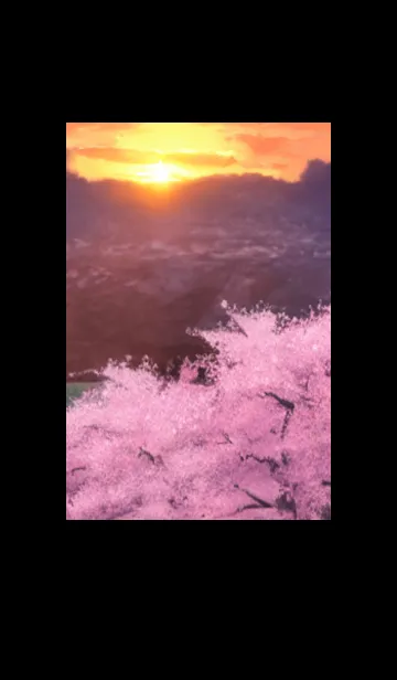 [LINE着せ替え] Cherry Blossoms#AN_14。の画像1