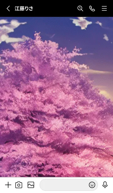 [LINE着せ替え] Cherry Blossoms#AN_28。の画像2