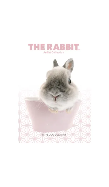 [LINE着せ替え] THE DOG 'THE RABBIT 麻の葉'の画像1