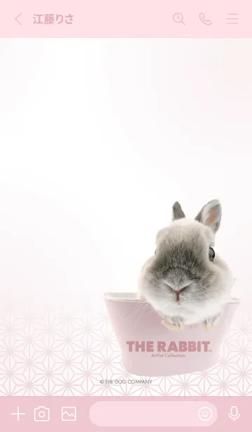 [LINE着せ替え] THE DOG 'THE RABBIT 麻の葉'の画像2