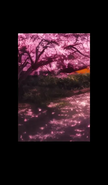 [LINE着せ替え] Cherry Blossoms#AO_2。の画像1