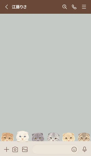 [LINE着せ替え] CATS - スコティッシュ - スカイグレーの画像2