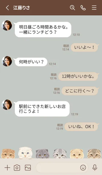 [LINE着せ替え] CATS - スコティッシュ - スカイグレーの画像3