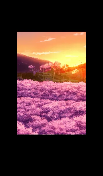 [LINE着せ替え] Cherry Blossoms#AO_29。の画像1