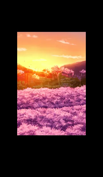 [LINE着せ替え] Cherry Blossoms#AO_27。の画像1