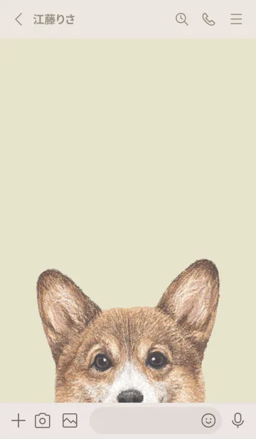 [LINE着せ替え] ICON DOG - コーギー 01 - PASTEL YE/03の画像2
