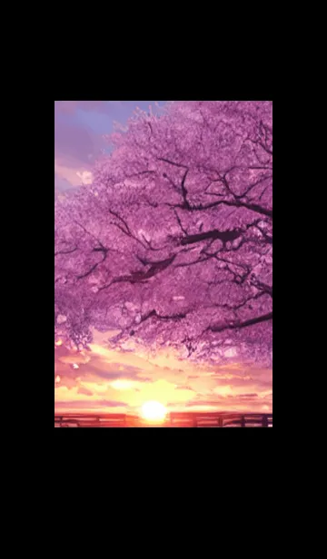 [LINE着せ替え] Cherry Blossoms#Ap_5。の画像1