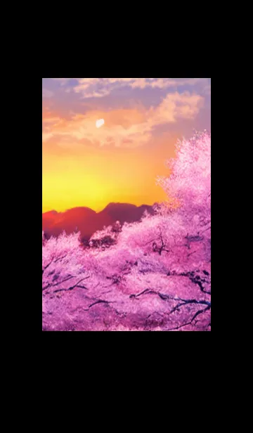 Cherry Blossoms#Ap_3。の着せ替えメイン画像