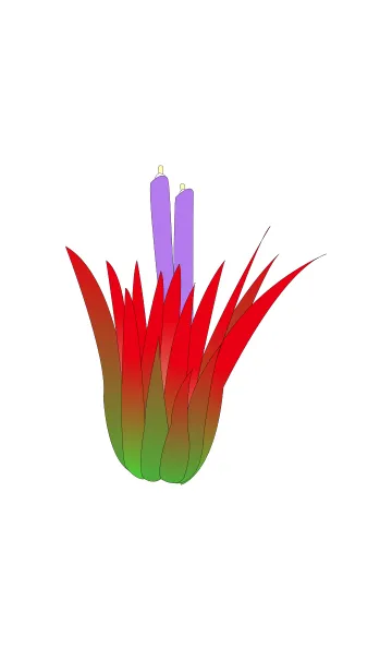 [LINE着せ替え] ティランジアの画像1