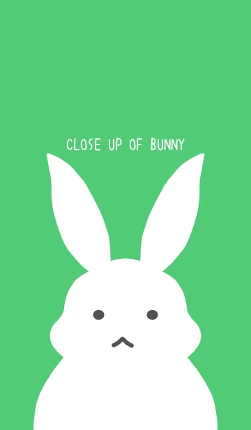 [LINE着せ替え] シンプルバニー/グリーン/ホワイトの画像1