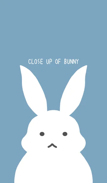 [LINE着せ替え] シンプルバニー/くすみブルーグリーンの画像1