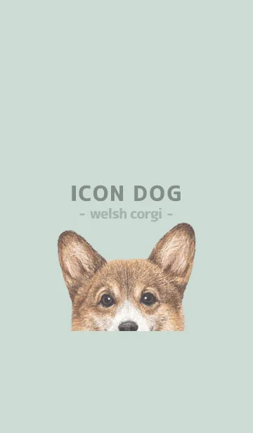 [LINE着せ替え] ICON DOG - コーギー 01 - PASTEL GR/03の画像1