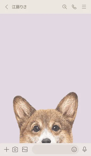 [LINE着せ替え] ICON DOG - コーギー 01 - PASTEL PL/03の画像2