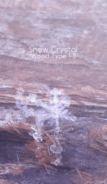 [LINE着せ替え] Snow Crystal Wood Type 1-3の画像1