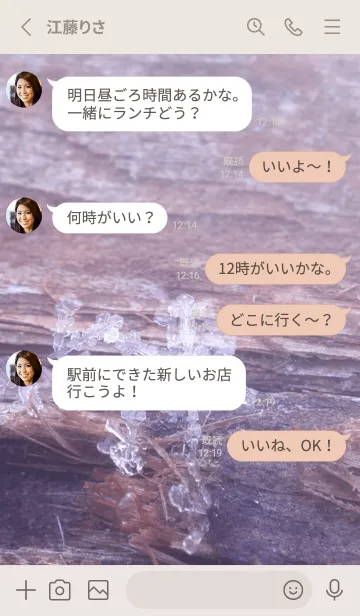 [LINE着せ替え] Snow Crystal Wood Type 1-3の画像3