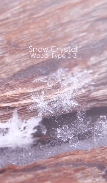 [LINE着せ替え] Snow Crystal Wood Type 2-3の画像1