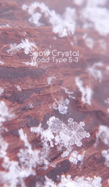 [LINE着せ替え] Snow Crystal Wood Type 5-3の画像1