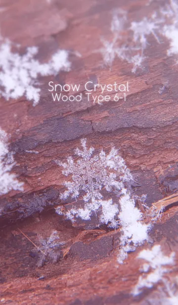 [LINE着せ替え] Snow Crystal Wood Type 6-1の画像1