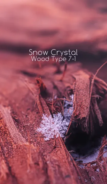 [LINE着せ替え] Snow Crystal Wood Type 7-1の画像1