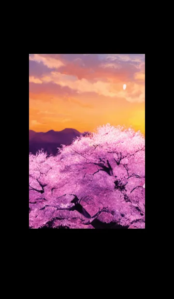 [LINE着せ替え] Cherry Blossoms#Ap_26。の画像1
