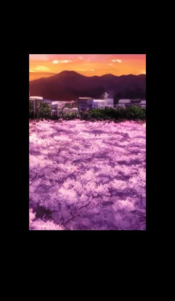 [LINE着せ替え] Cherry Blossoms#Ap_23。の画像1