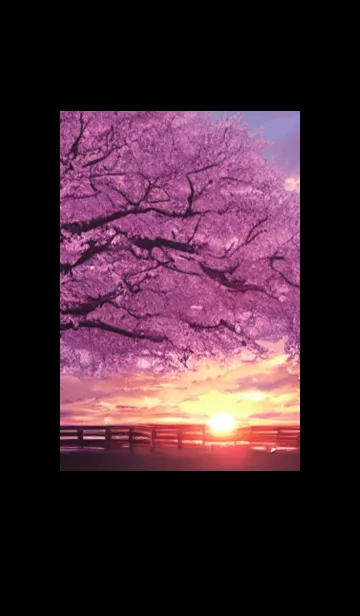 [LINE着せ替え] Cherry Blossoms#Ap_22。の画像1