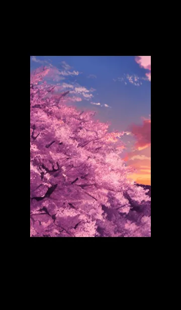 [LINE着せ替え] Cherry Blossoms#Ap_21。の画像1