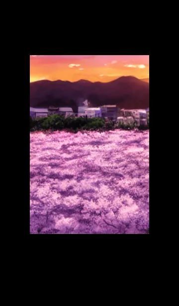 [LINE着せ替え] Cherry Blossoms#Ap_20。の画像1