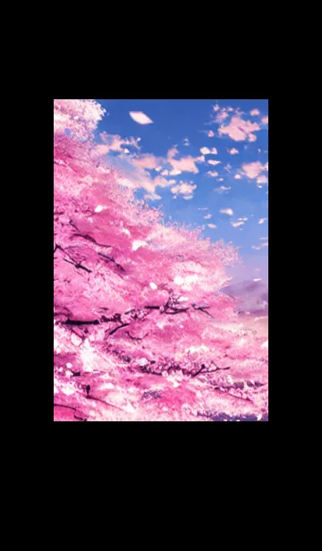 [LINE着せ替え] Cherry Blossoms#Ap_19。の画像1