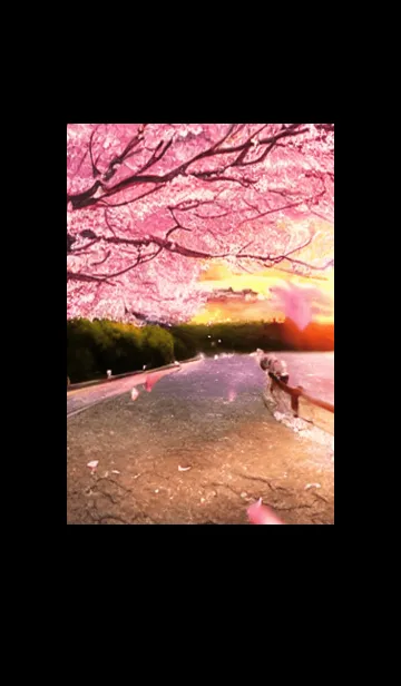 [LINE着せ替え] 桜の花咲く頃#AQ_18。の画像1