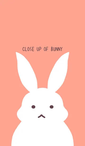 [LINE着せ替え] シンプルバニーの着せかえ/ピンクオレンジの画像1