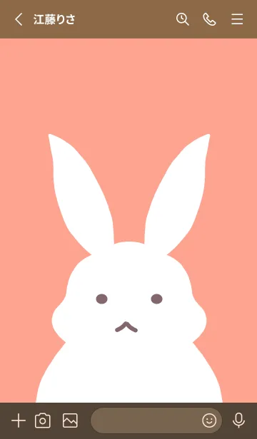 [LINE着せ替え] シンプルバニーの着せかえ/ピンクオレンジの画像2