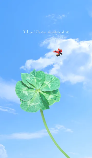 [LINE着せ替え] 七つ葉のクローバーとテントウムシ #20の画像1