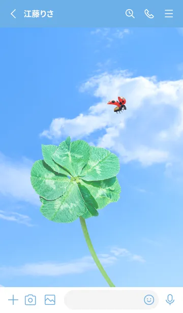 [LINE着せ替え] 七つ葉のクローバーとテントウムシ #20の画像2
