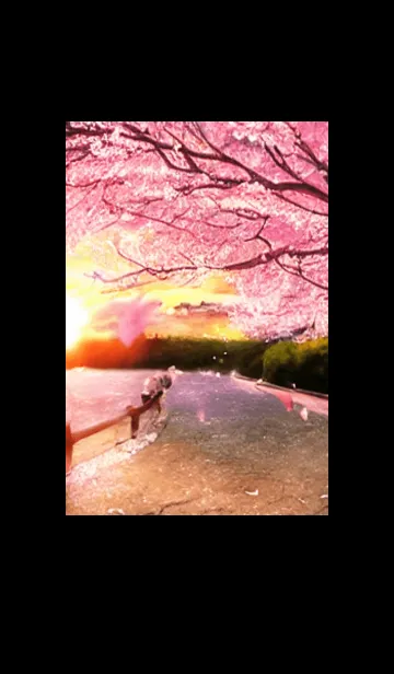 [LINE着せ替え] 桜の花咲く頃#AQ_23。の画像1