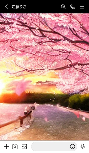 [LINE着せ替え] 桜の花咲く頃#AQ_23。の画像2