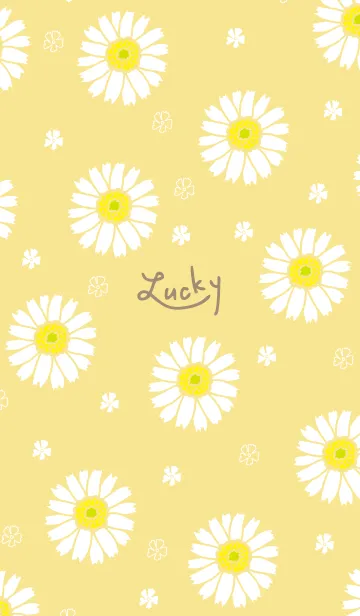 [LINE着せ替え] 白いガーベラ28の画像1