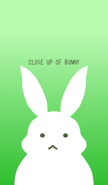 [LINE着せ替え] シンプルバニー/グリーングラデーションの画像1